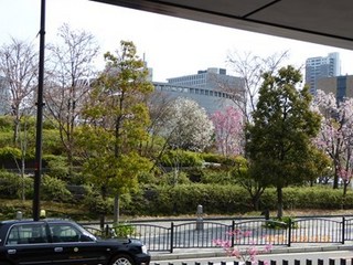 s-P1000017.jpg