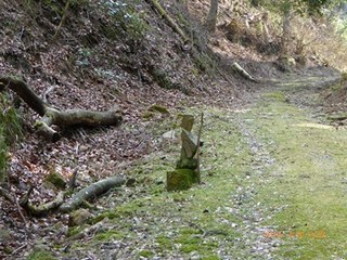 s-P1000029.jpg