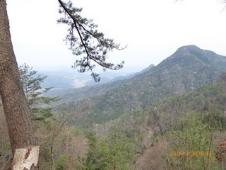 s-P1000034.jpg
