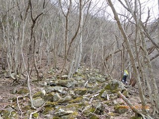 s-P1000040.jpg