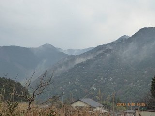 s-P1000060.jpg