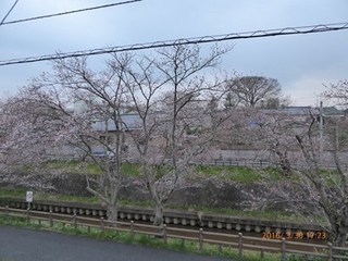 s-P1000070.jpg