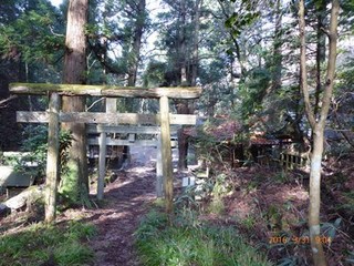 s-P1000075.jpg