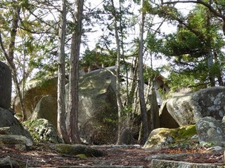 s-P1000080.jpg