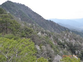 s-P1000098.jpg