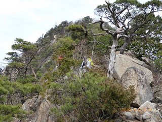 s-P1000100.jpg