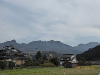 s-P1000110.jpg