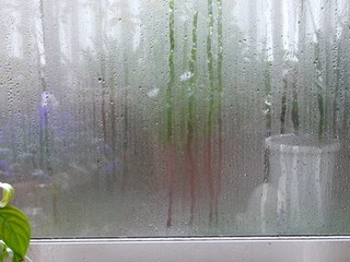 s-P1000114.jpg