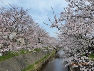 s-P1000121.jpg