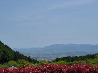 s-P1000140.jpg