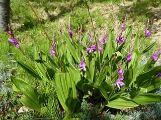 s-P1000153.jpg