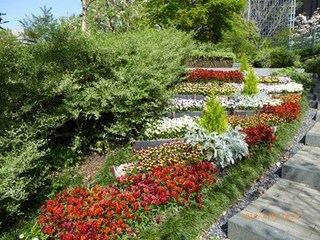 s-P1000156.jpg