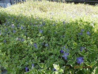 s-P1000169.jpg