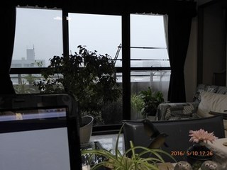 s-P1000209.jpg