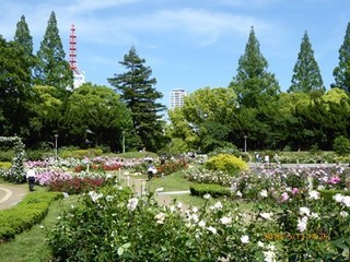 s-P1000220.jpg