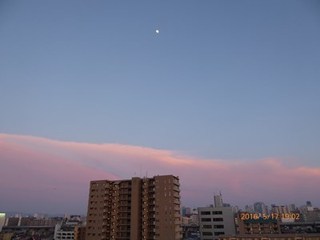 s-P1000228.jpg