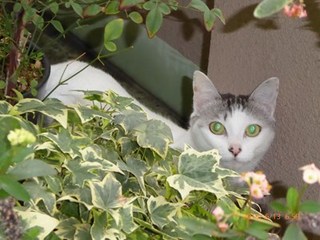 s-P1000336.jpg