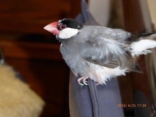 s-P1000386.jpg