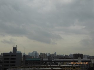 s-P1000436.jpg