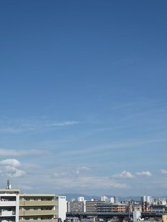 s-P1000440.jpg