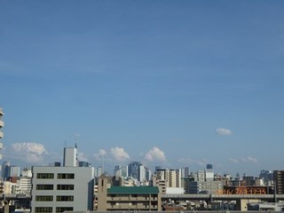 s-P1000446.jpg