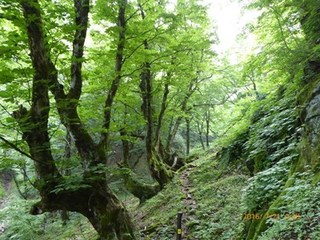 s-P1000467.jpg