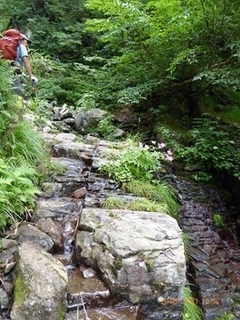 s-P1000492.jpg