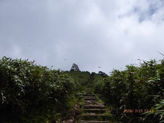 s-P1000494.jpg