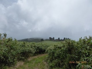 s-P1000505.jpg