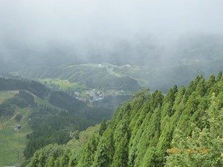 s-P1000509.jpg