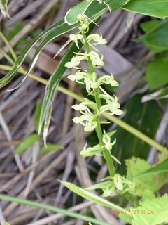 s-P1000518.jpg