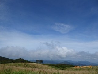 s-P1000535.jpg