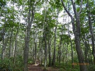 s-P1000545.jpg