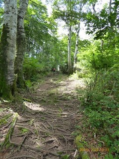s-P1000548.jpg