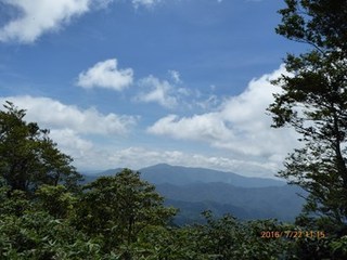 s-P1000551.jpg