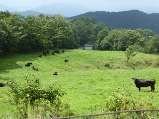 s-P1000552.jpg