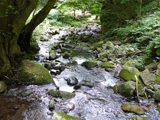 s-P1000562.jpg