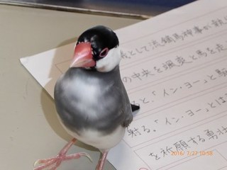 s-P1000572.jpg
