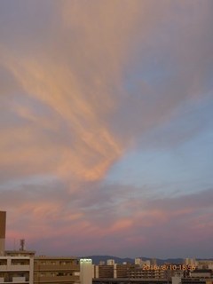 s-P1000684.jpg