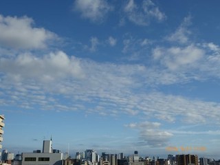 s-P1000711.jpg