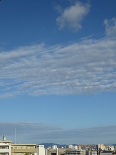 s-P1000714.jpg