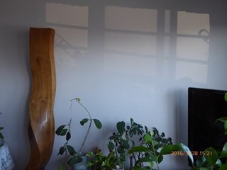 s-P1000720.jpg