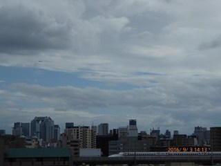 s-P1000741.jpg