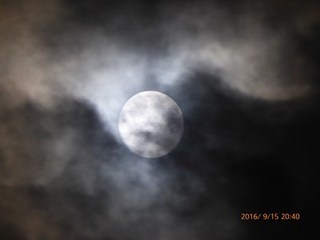 s-P1000776.jpg