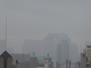 s-P1000807.jpg
