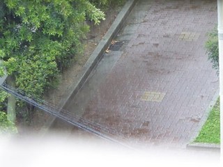 s-P1000808.jpg