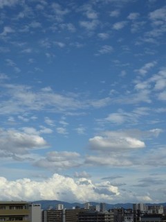 s-P1000813.jpg