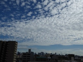 s-P1000815.jpg