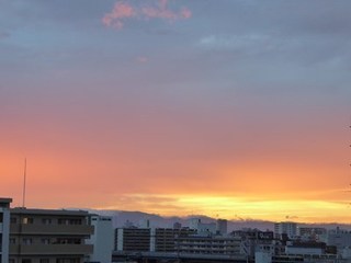 s-P1000816.jpg