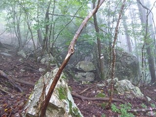 s-P1000829.jpg